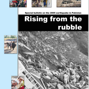 Rising from the Rubble