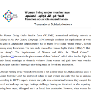 Joint Statement – WLUML and VNC to End the Unlawful Criminalisation of Women and Girls Based on ‘Moral Grounds’ in Afghanistan